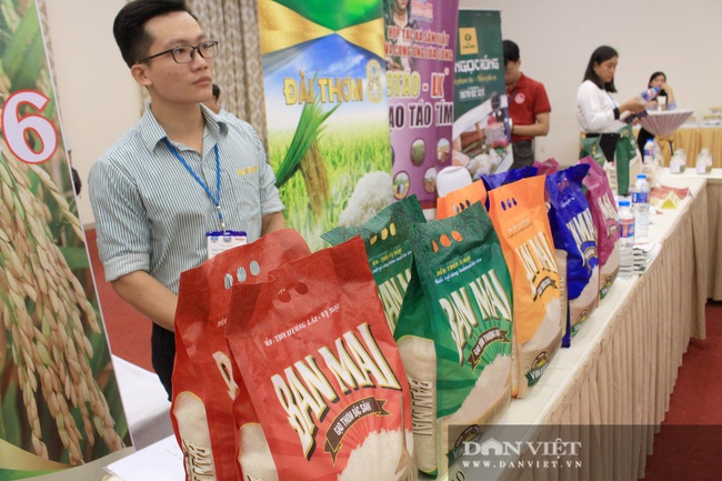 Cận cảnh chuyên gia đi tìm loại gạo ngon nhất Việt Nam 2020 - Ảnh 3.