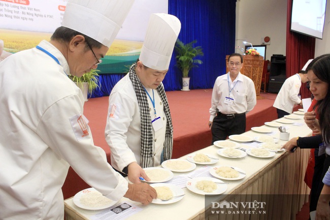 Cận cảnh chuyên gia đi tìm loại gạo ngon nhất Việt Nam 2020 - Ảnh 1.