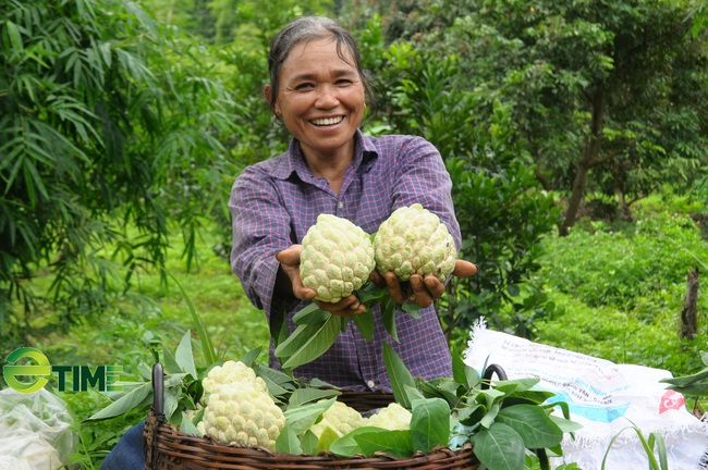 Lạng Sơn: Thêm nhiều sản phẩm nông nghiệp nhận 3 - 4 sao OCOP tỉnh - Ảnh 1.