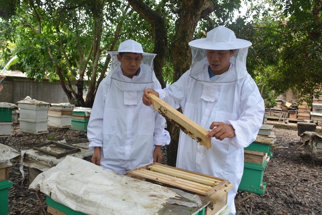 Điện Biên: Xây dựng thương hiệu mật ong đạt tiêu chuẩn 4 sao OCOP - Ảnh 7.