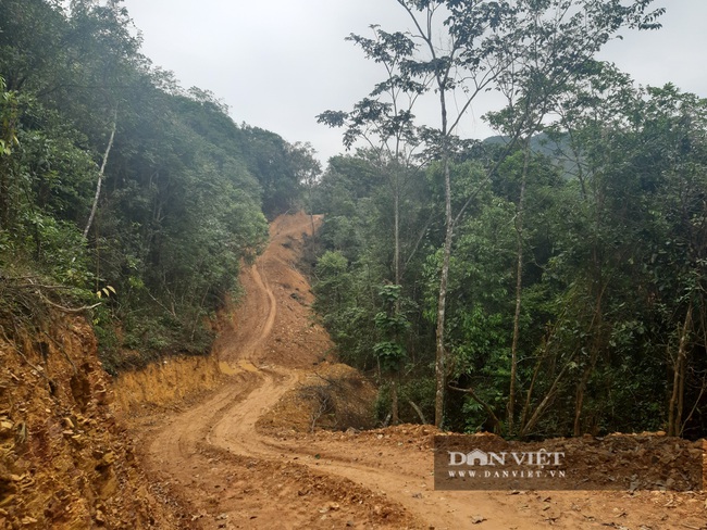 Mở 2,4km đường trái phép vào phá rừng tự nhiên ở Bắc Kạn: Giao Công an điều tra vụ việc - Ảnh 2.