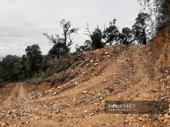 Mở 2,4km đường trái phép vào phá rừng tự nhiên ở Bắc Kạn: Giao Công an điều tra vụ việc - Ảnh 4.