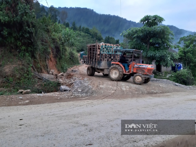 Mở 2,4km đường trái phép vào phá rừng tự nhiên ở Bắc Kạn: Giao Công an điều tra vụ việc - Ảnh 3.