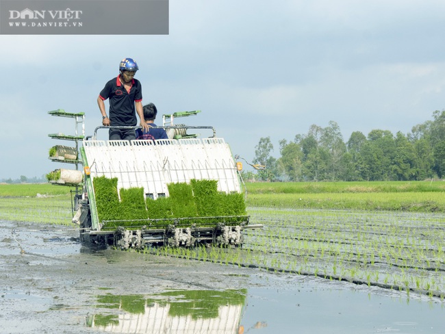 Kiên Giang: Cơ giới hóa mở lối cho nông dân tăng thu nhập - Ảnh 2.