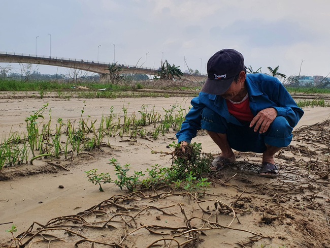 Nông dân &quot;rũ bùn&quot; đứng dậy sau bão - Ảnh 1.