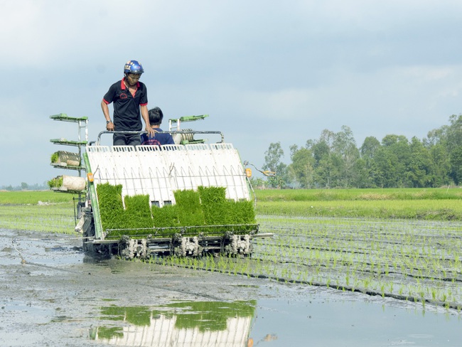 Nông dân Kiên Giang sắm máy &quot;khủng&quot; đưa xuống đồng - Ảnh 1.