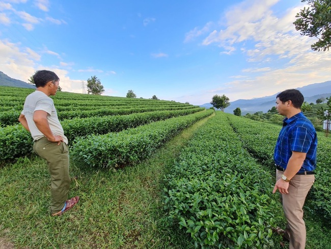 Chuyện giảm nghèo ở “lõi nghèo” Tây Bắc (bài 2): Những triệu phú ở vùng nghèo - Ảnh 3.