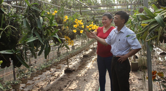 Nông dân hưởng “trái ngọt” sau 10 năm thực hiện Kết luận 61 - Ảnh 1.