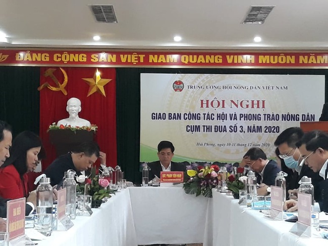 Hội Nông dân cụm thi đua số 3: Tích cực tham gia phát triển kinh tế - xã hội, xây dựng nông thôn mới kiểu mẫu - Ảnh 1.