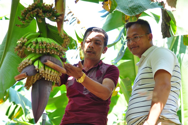 Khơi dậy tinh thần vươn lên thoát nghèo(bài 2): Liên kết, đưa vùng nghèo phát triển - Ảnh 1.