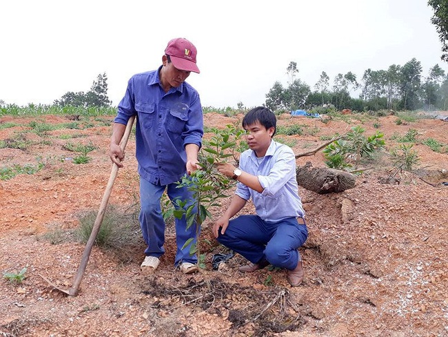 Trồng chanh không hạt, nhiều hộ giàu lên - Ảnh 3.