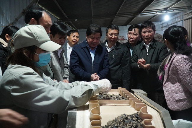 Chùm ảnh: Thạch đen &quot;đắt giá&quot;, doanh nghiệp xuất khẩu chính ngạch 1.000 tấn bột thạch đầu tiên sang Trung Quốc - Ảnh 12.