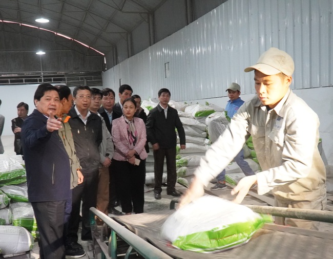 Chùm ảnh: Thạch đen &quot;đắt giá&quot;, doanh nghiệp xuất khẩu chính ngạch 1.000 tấn bột thạch đầu tiên sang Trung Quốc - Ảnh 10.