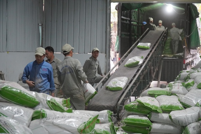 Chùm ảnh: Thạch đen &quot;đắt giá&quot;, doanh nghiệp xuất khẩu chính ngạch 1.000 tấn bột thạch đầu tiên sang Trung Quốc - Ảnh 11.