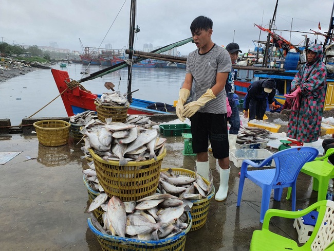 Ngư dân phấn khởi vươn khơi, mong &quot;Tết ấm&quot; - Ảnh 2.