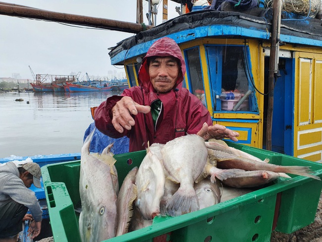 Ngư dân phấn khởi vươn khơi, mong &quot;Tết ấm&quot; - Ảnh 3.