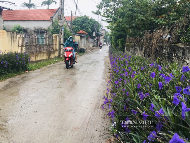 Hà Nam: Đột phá xây dựng nông thôn mới về đích trước hẹn - Ảnh 4.