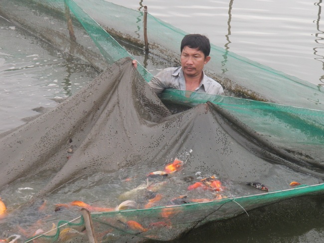 Trao tay nông dân nhiều công nghệ nuôi - trồng  - Ảnh 3.