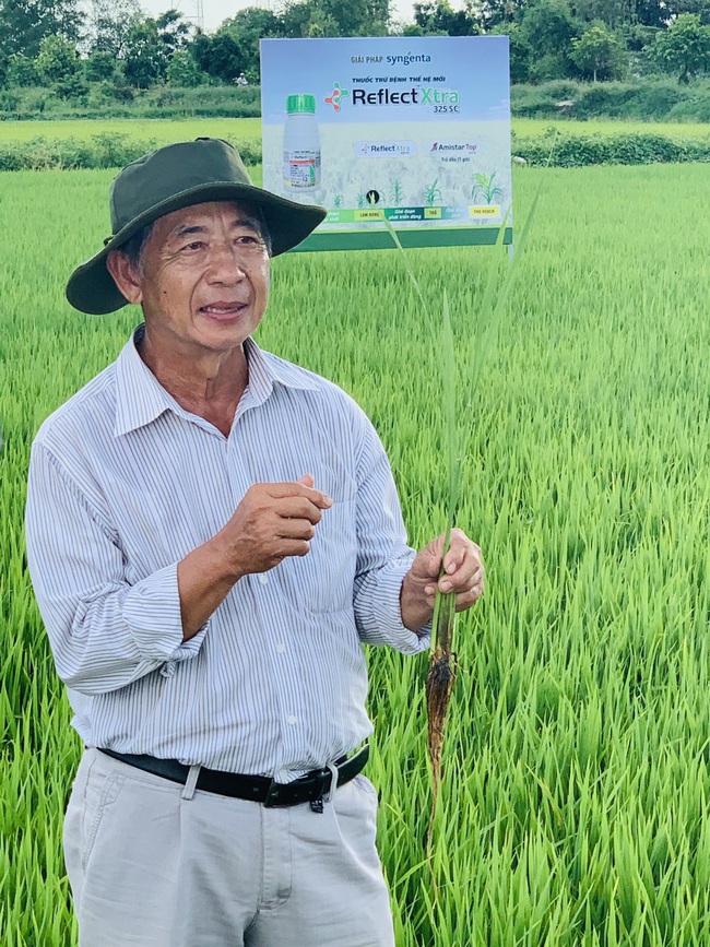 Syngenta giới thiệu công nghệ Reflect Xtra 325SC giúp nâng tầm gạo Việt - Ảnh 3.