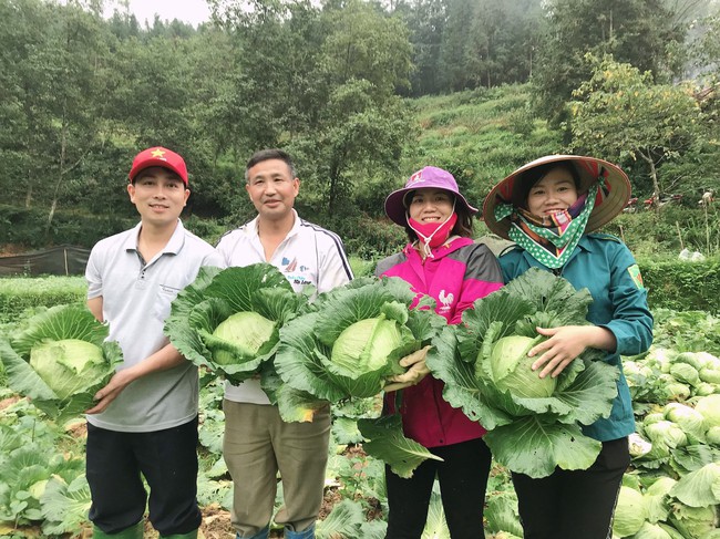 Rau trái vụ cho nhà nông vùng cao thu nhập khá  - Ảnh 1.