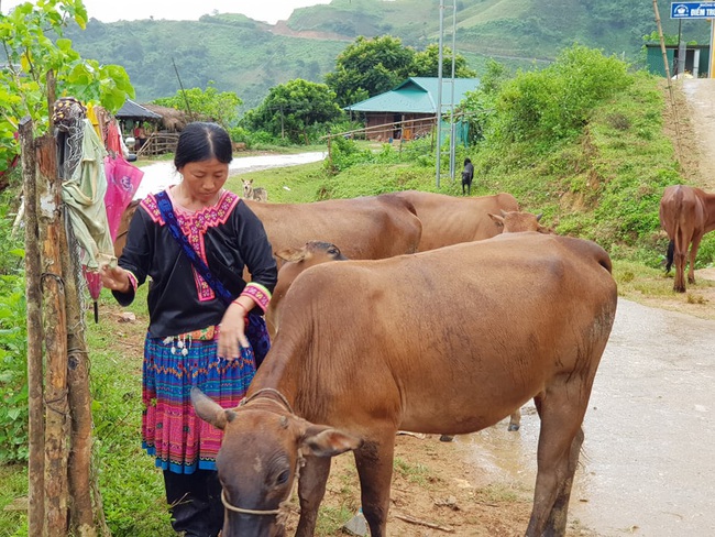 Điện Biên: Nhân dân đồng thuận xây dựng nông thôn mới - Ảnh 5.