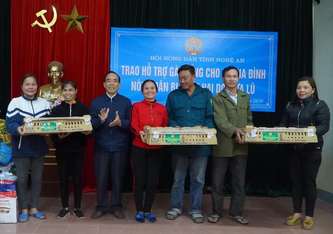 Hội Nông dân tỉnh Nghệ An:  Trao hơn 13.000 gà con giống cho hội viên, nông dân khắc phục sản xuất sau mưa lũ - Ảnh 2.