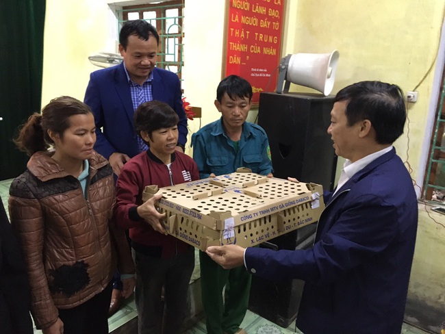 Hội Nông dân tỉnh Nghệ An:  Trao hơn 13.000 gà con giống cho hội viên, nông dân khắc phục sản xuất sau mưa lũ - Ảnh 1.