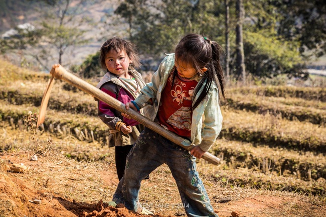 Lao động trẻ em lĩnh vực nông nghiệp: Khó kiểm soát, khó với tới  - Ảnh 2.