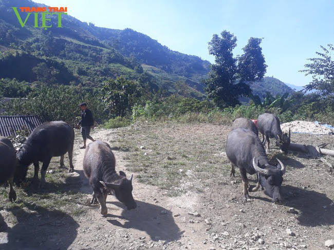 Tam Đường “khoác áo mới” - Ảnh 3.