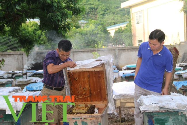 Lãi hàng trăm triệu từ việc chỉ huy hàng vạn quân mi ni - Ảnh 3.