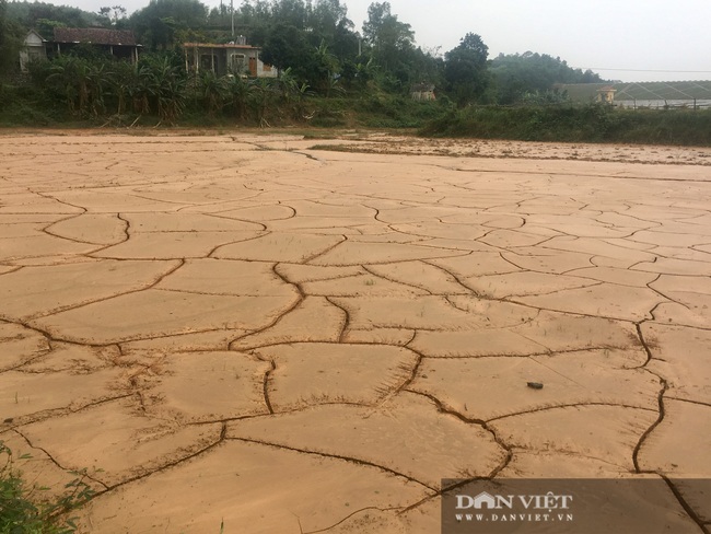 Nông dân Quảng Bình rơi nước mắt nhìn ruộng lúa bị bồi lấp sau mưa lũ - Ảnh 3.