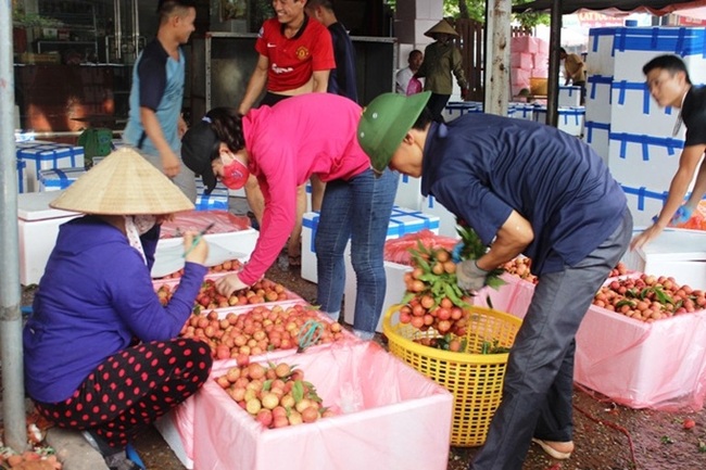 Tọa đàm trực tuyến: Nhìn lại một năm vượt khó của ngành nông nghiệp trước đại dịch Covid-19 - Ảnh 2.