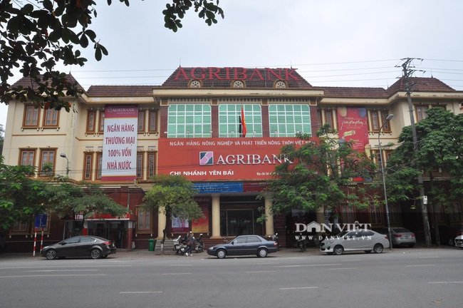 Agribank chi nhánh tỉnh Yên Bái: Đồng hành cùng chi trả lương hưu và trợ cấp BHXH bằng tài khoản cá nhân - Ảnh 1.