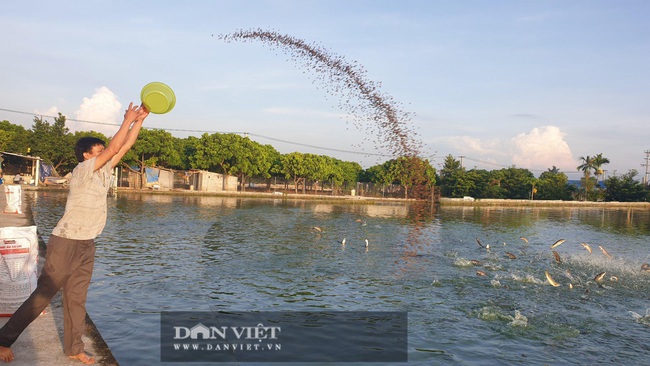 Nam Định: Lão nông kéo cá lóc bán Tết, mỗi mẻ cả vài tấn, người xem đông nghẹt - Ảnh 6.