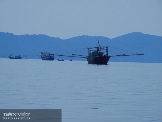 Quảng Ninh: Buông lỏng quản lý, biển Hải Hà bị hủy diệt đến kiệt cùng - Ảnh 7.