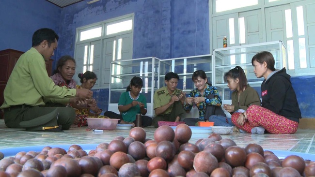 Thứ trưởng Bộ NNPTNT Hà Công Tuấn: Đóng cửa rừng tự nhiên không có nghĩa là &quot;rào kín&quot; - Ảnh 4.