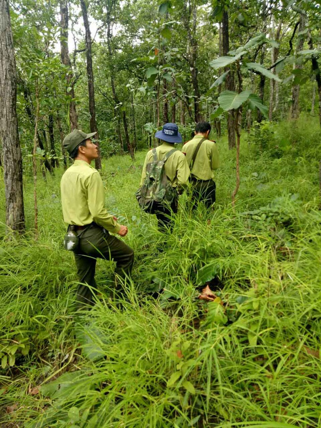 Thứ trưởng Bộ NNPTNT Hà Công Tuấn: Đóng cửa rừng tự nhiên không có nghĩa là &quot;rào kín&quot; - Ảnh 2.