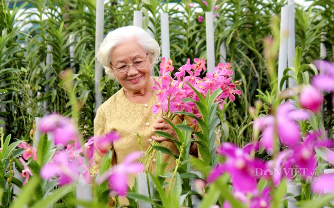 Loay hoay giải bài toán cung ứng giống cây trồng công nghệ cao - Ảnh 2.