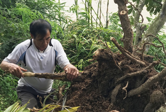 Thủy điện xả lũ, dân mất hàng tỷ đồng trong thoáng chốc - Ảnh 3.