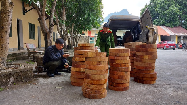 Hà Giang: Bắt giữ 104 khúc gỗ nghiến dạng thớt sau loạt bài phản ánh của PV Dân Việt - Ảnh 4.