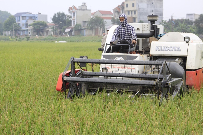 Tăng đào tạo để hình thành thế hệ nông dân chất lượng cao - Ảnh 2.