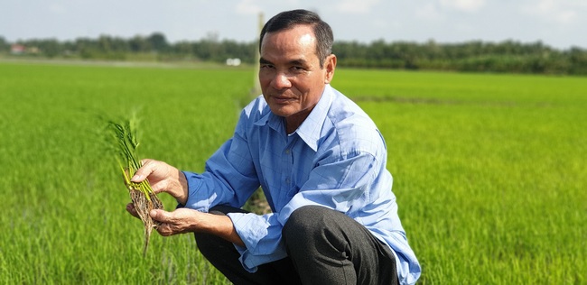 Hành trình gạo Việt: Từ thăng trầm đến đỉnh vinh quang - Ảnh 3.