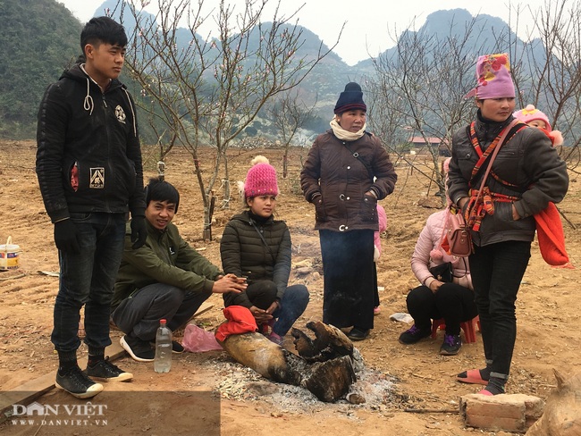  Sơn La: Cơ quan chức năng nói gì về chỉ đạo của Thủ tướng về cấm chặt đào rừng - Ảnh 4.