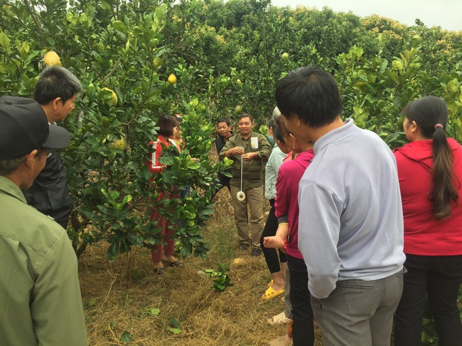 Bắc Giang: Học nghề bài bản, nông dân làm ăn lớn - Ảnh 1.