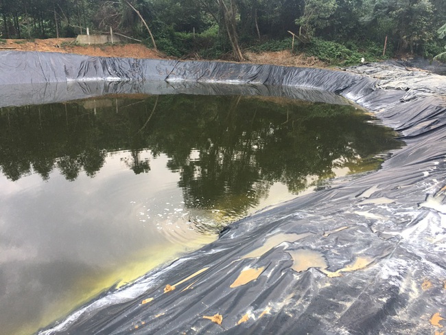 Trại lợn Đại Thành Lộc khắc phục hệ thống xử lý nước thải, nỗ lực bảo vệ môi trường   - Ảnh 3.