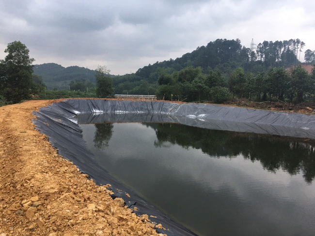 Trại lợn Đại Thành Lộc khắc phục hệ thống xử lý nước thải, nỗ lực bảo vệ môi trường   - Ảnh 2.