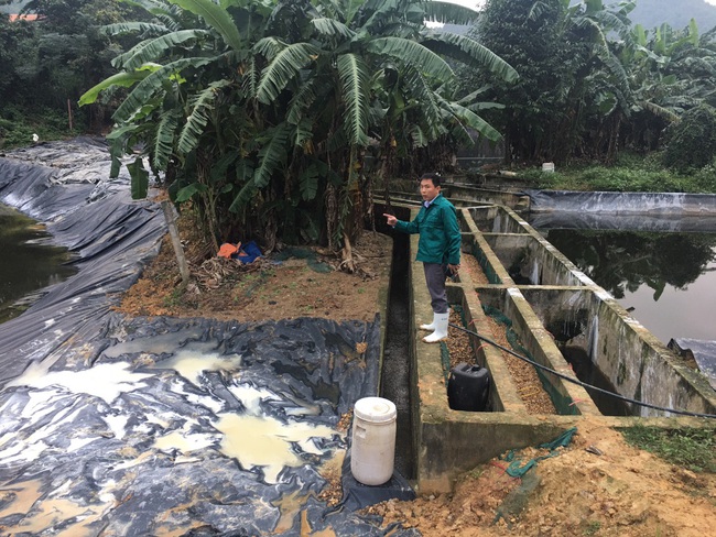 Trại lợn Đại Thành Lộc khắc phục hệ thống xử lý nước thải, nỗ lực bảo vệ môi trường   - Ảnh 1.
