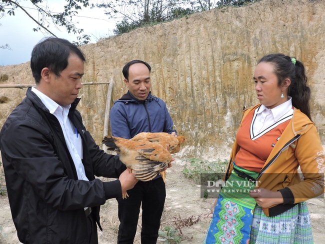 Nông dân ở đây được hỗ trợ gì mà ai cũng vui, vừa giảm nghèo lại chống suy dinh dưỡng - Ảnh 1.