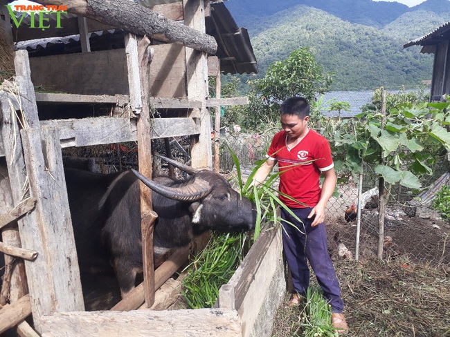 Bản vùng cao Đông Suông làm nông thôn mới - Ảnh 3.