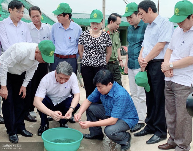 Tân Phó Chủ tịch UBND tỉnh Thanh Hóa Lê Đức Giang có nhiều đóng góp cho ngành nông nghiệp - Ảnh 4.